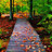 ABO_WAZAN